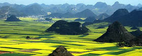 鄉(xiāng)村(鎮(zhèn))產(chǎn)業(yè)規(guī)劃